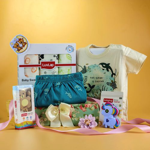 Complete Newborn Care N Comfort Set