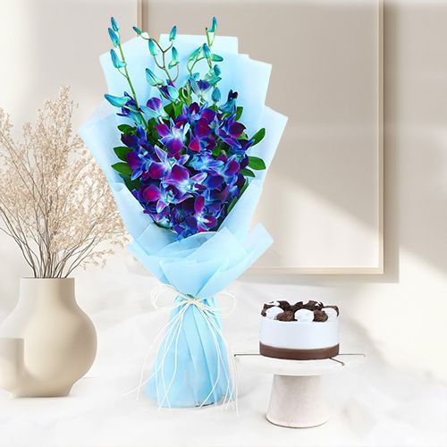 Elegant Orchid  N  Black Forest Delight